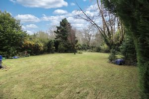 Photo 15- click for photo gallery